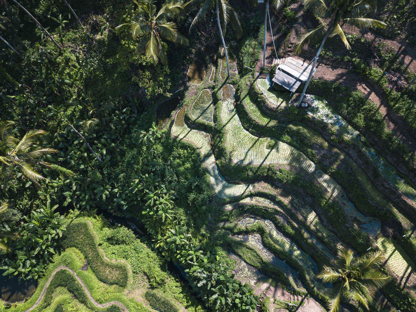 Viajar a Indonesia