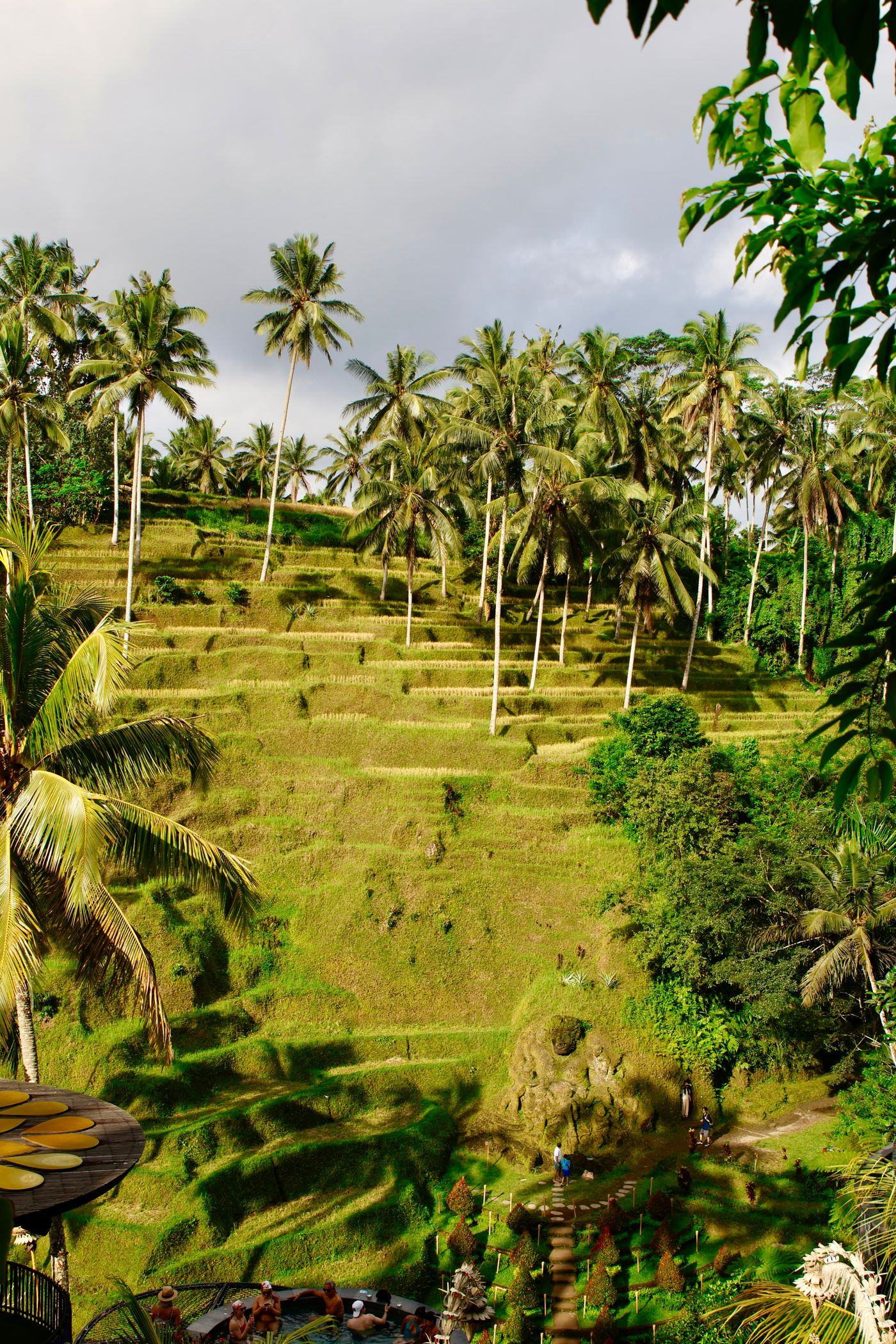 Viajar a Indonesia